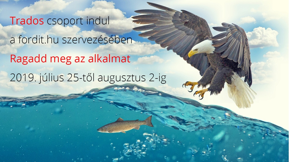 TRADOS csoportos vásárlás indul